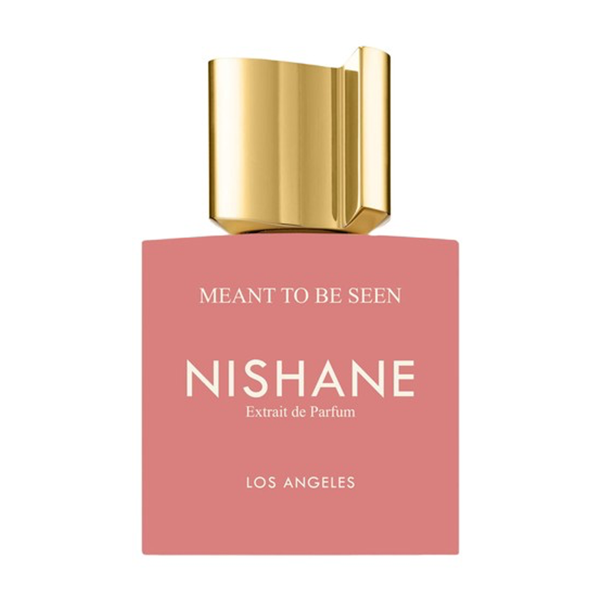 Nishane Meant To Be Seen 100ml Extrait de Parfum bottle on white background